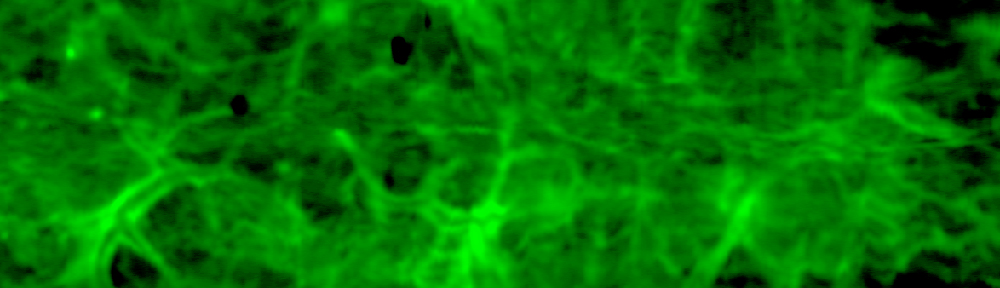 Tfri Bc Node Research Day - Poster Award! - Optical Cancer Imaging 