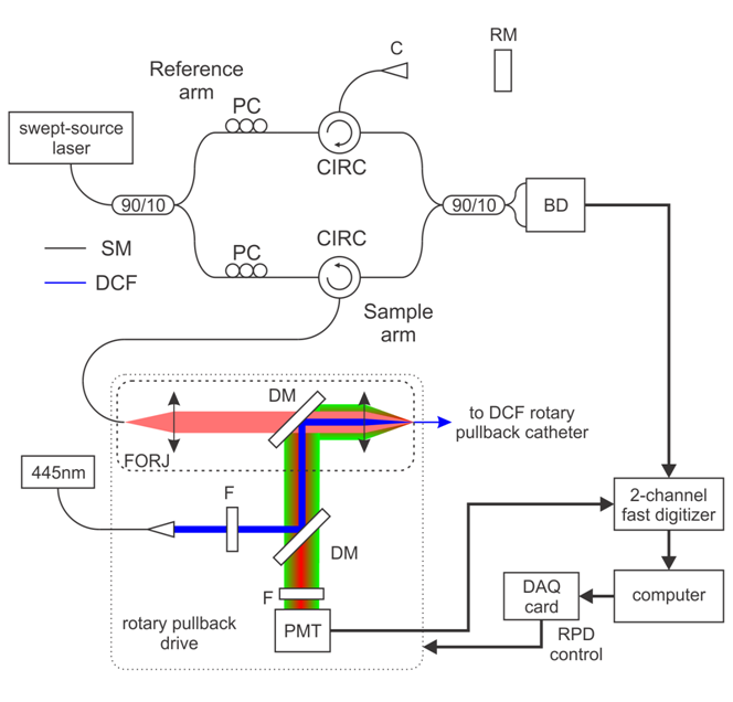 OCT-AFI-Schematic