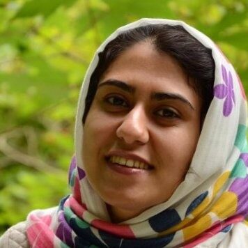 Optimization of multimodal OCT for early cancer detection and diagnosis