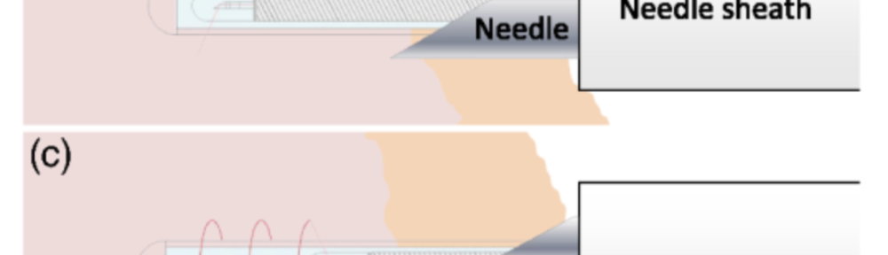 Post-Doctoral Fellowship