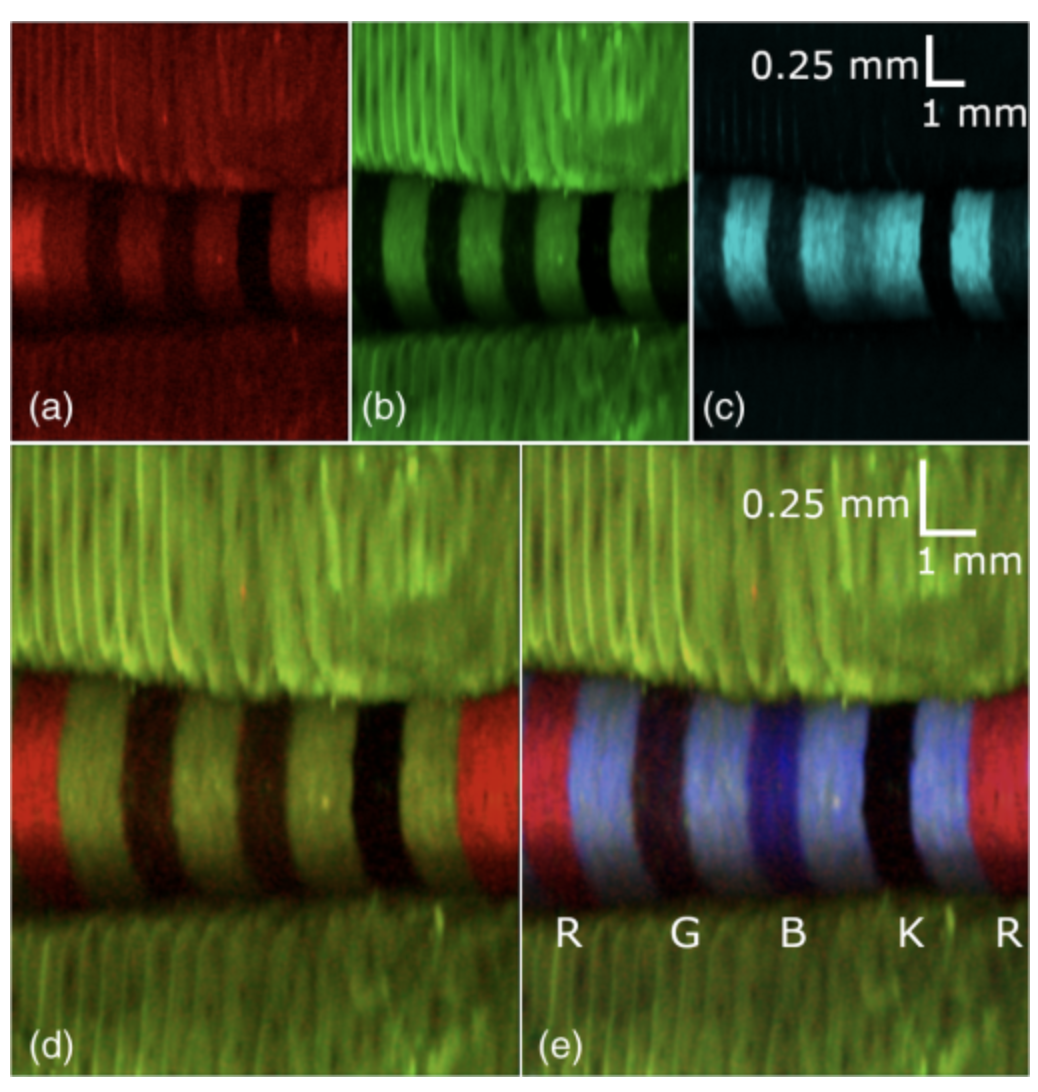Submillimeter diameter rotary-pullback fiber-optic endoscope for narrowband red-green-blue reflectance, optical coherence tomography, and autofluorescence in vivo imaging