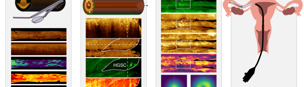 Congratulations Dr. Malone!