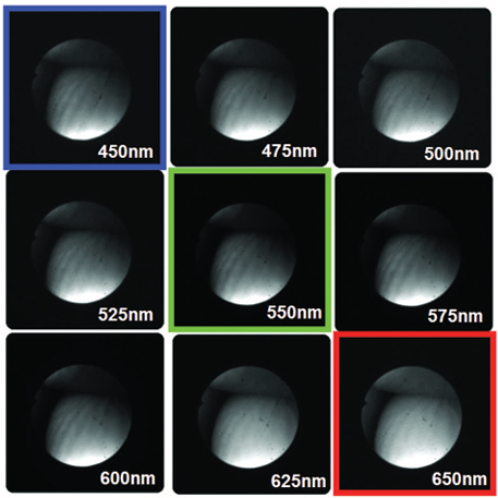 Spectrally programmable light engine for in vitro or in vivo molecular imaging and spectroscopy